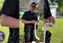 Career Day at Springview Elementary with the Miami Springs Police Department