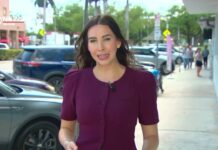 WSVN Spotlights MSPD Disabled Parking Abuse