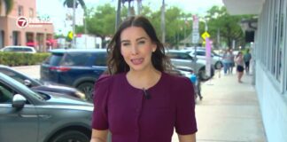 WSVN Spotlights MSPD Disabled Parking Abuse