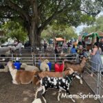 Petting Zoo at the 2026 River Cities Regatta in Miami Springs