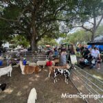 Petting Zoo at the 2026 River Cities Regatta in Miami Springs