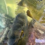 Fishing Tournament at the 2026 River Cities Festival