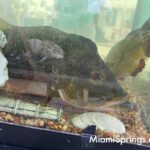 Fishing Tournament at the 2026 River Cities Festival