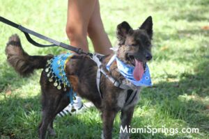 Pet Parade at the 2026 River Cities Regatta in Miami Springs