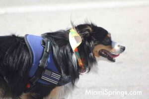 Pet Parade at the 2026 River Cities Regatta in Miami Springs