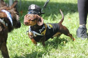 Pet Parade at the 2026 River Cities Regatta in Miami Springs