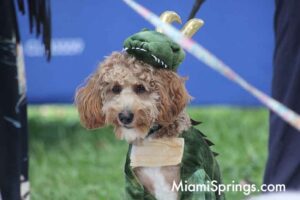 Pet Parade at the 2026 River Cities Regatta in Miami Springs