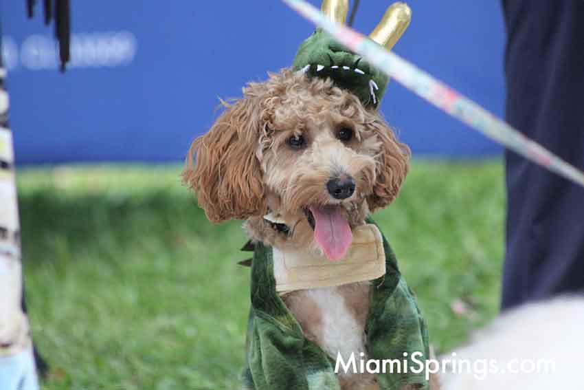 Pet Parade at the 2026 River Cities Regatta in Miami Springs