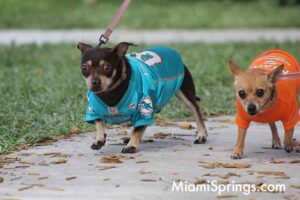 Pet Parade at the 2026 River Cities Regatta in Miami Springs
