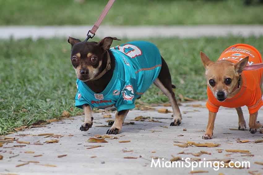 Pet Parade at the 2026 River Cities Regatta in Miami Springs