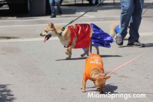 Pet Parade at the 2026 River Cities Regatta in Miami Springs