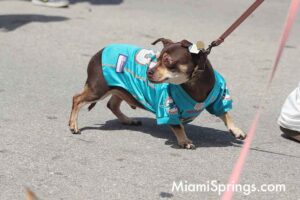 Pet Parade at the 2026 River Cities Regatta in Miami Springs