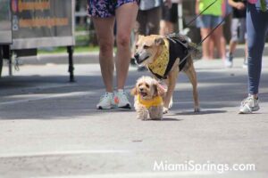 Pet Parade at the 2026 River Cities Regatta in Miami Springs