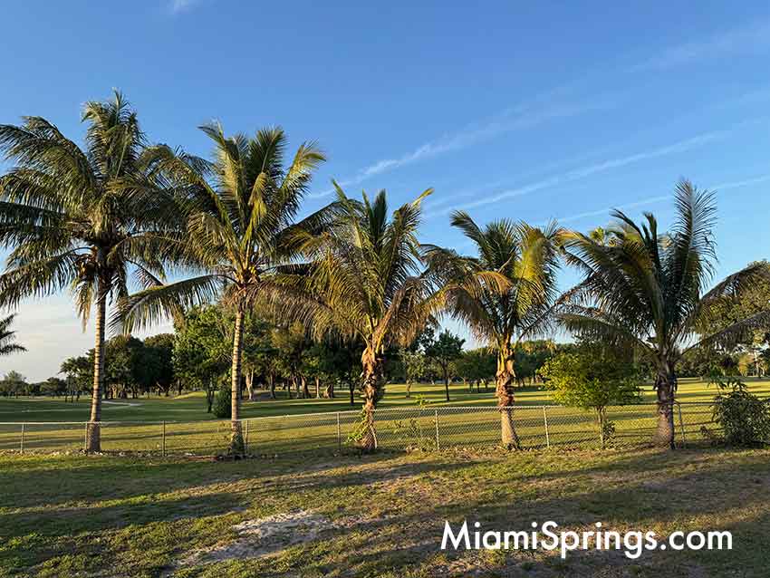 The Rooted Schoolhouse in Miami Springs
