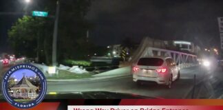 Video: Wrong Way Driver on Curtiss Parkway Bridge
