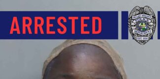 From Traffic Stop to Narcotics and Weapons Arrest