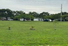 Statement from Mayor Walter Fajet Regarding the Dove and Quail Avenue Green Spaces