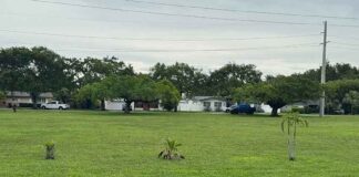 Statement from Mayor Walter Fajet Regarding the Dove and Quail Avenue Green Spaces