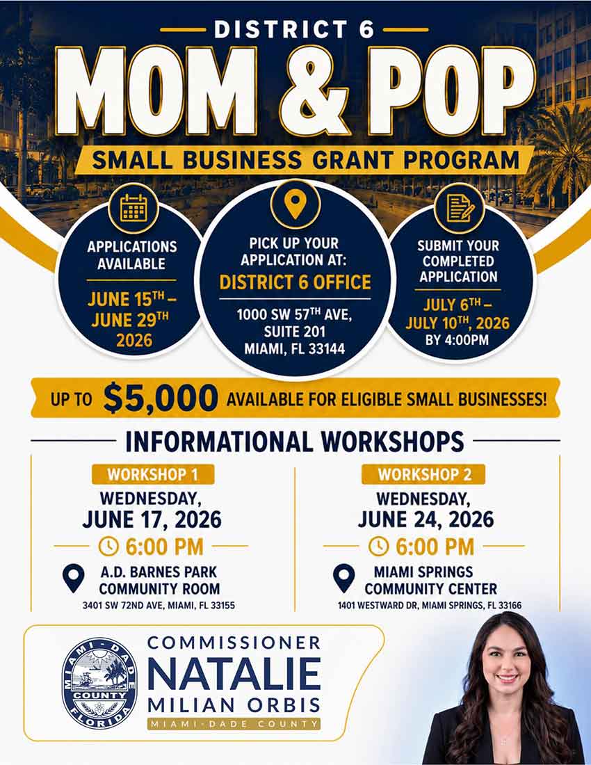 District 6 Small Business Grant Program
