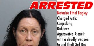Car Jacking Incident Caught on Camera