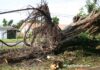 August 25, 2005: Hurricane Katrina in Miami Springs