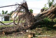August 25, 2005: Hurricane Katrina in Miami Springs