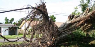August 25, 2005: Hurricane Katrina in Miami Springs