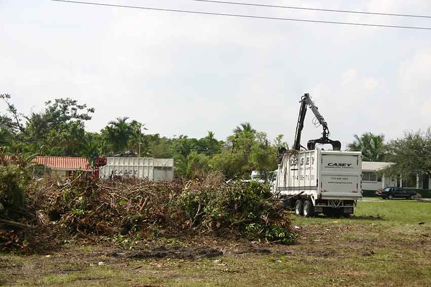Hurricane Katrina Cleanup in Miami Springs 2005
