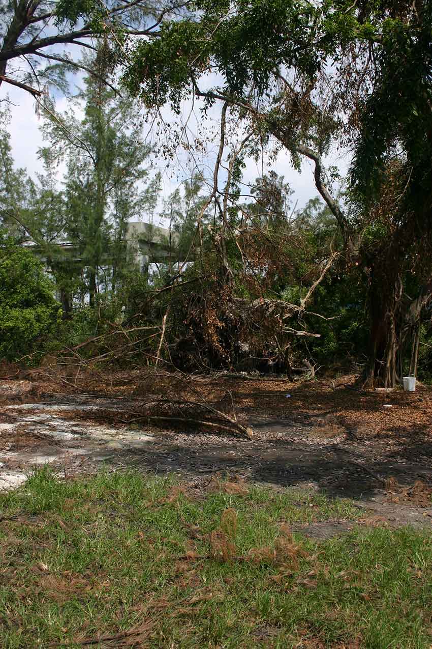 Hurricane Katrina Cleanup in Miami Springs 2005