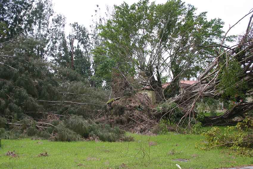 Hurricane Katrina Cleanup in Miami Springs 2005