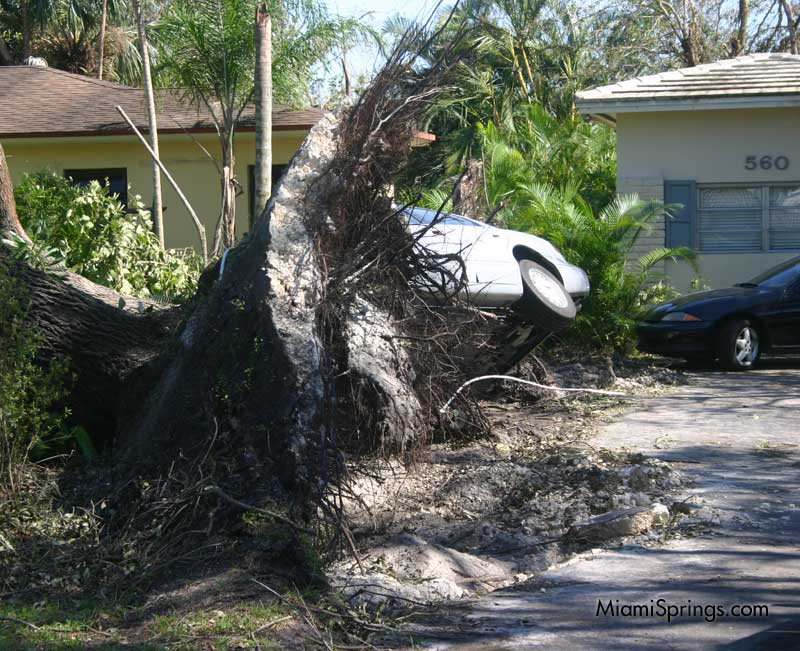 Hurricane Wilma 2005