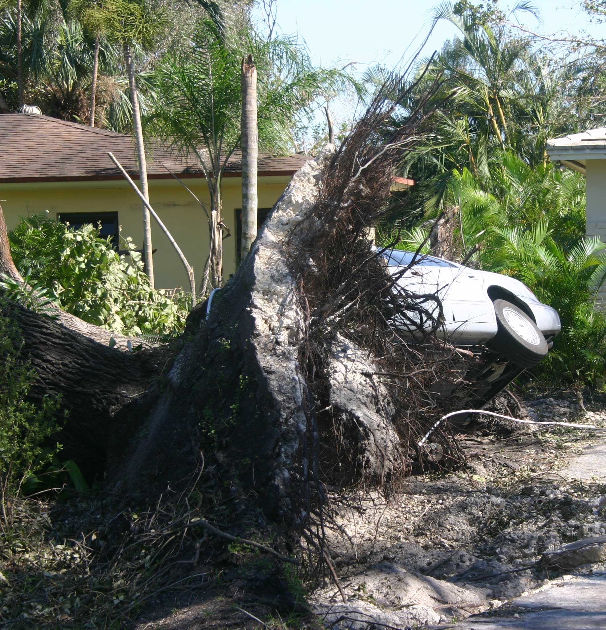 Hurricane Wilma 2005