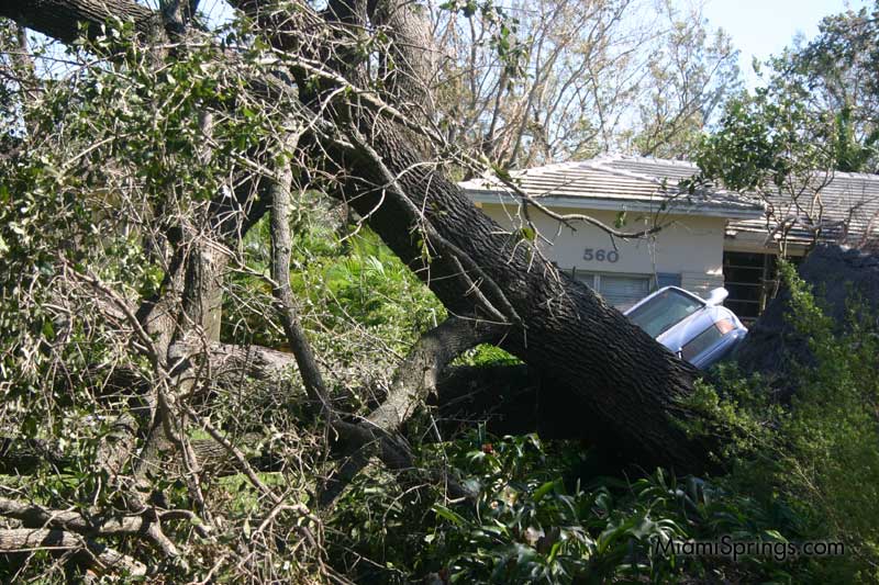 Hurricane Wilma 2005