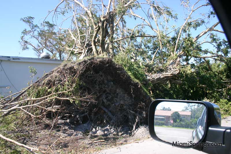 Hurricane Wilma 2005