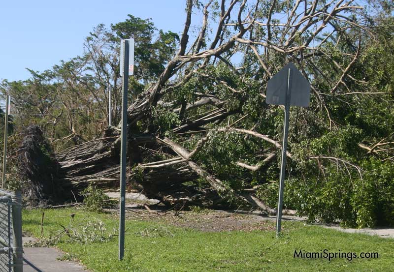 Hurricane Wilma 2005