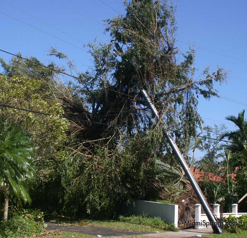 Hurricane Wilma 2005