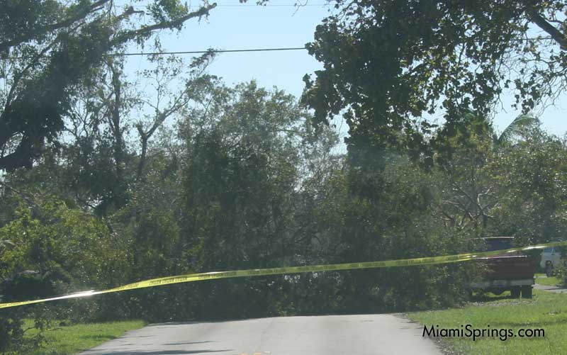 Hurricane Wilma 2005