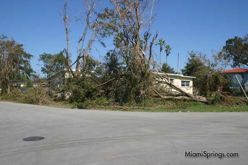 Hurricane Wilma 2005