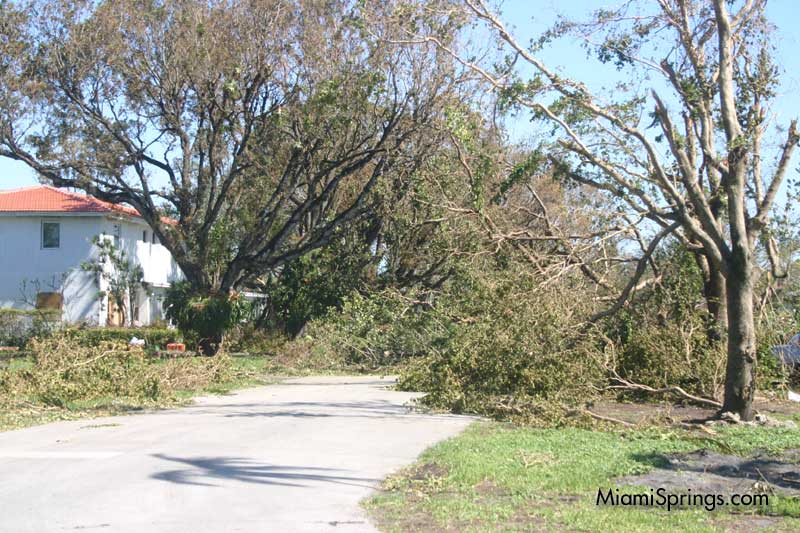 Hurricane Wilma 2005