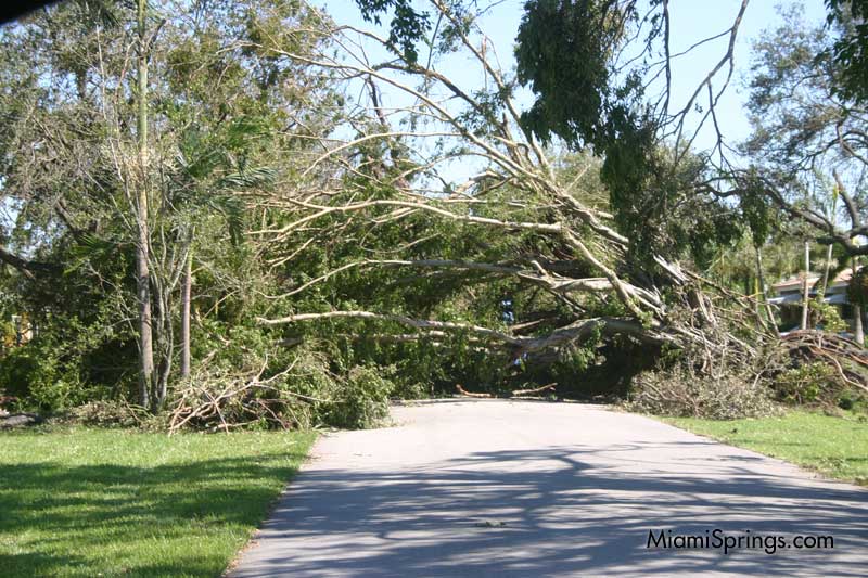 Hurricane Wilma 2005