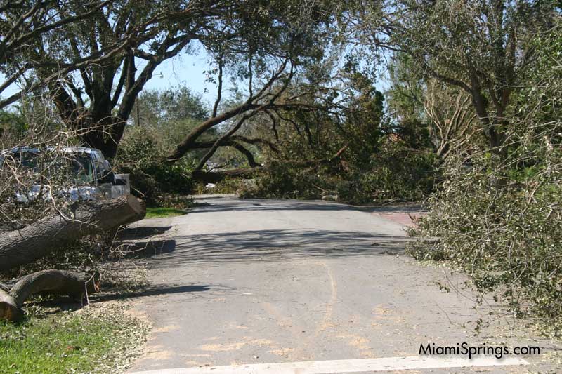 Hurricane Wilma 2005