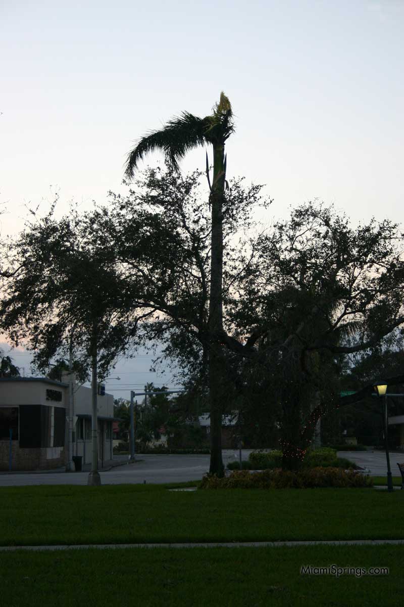 Hurricane Wilma 2005