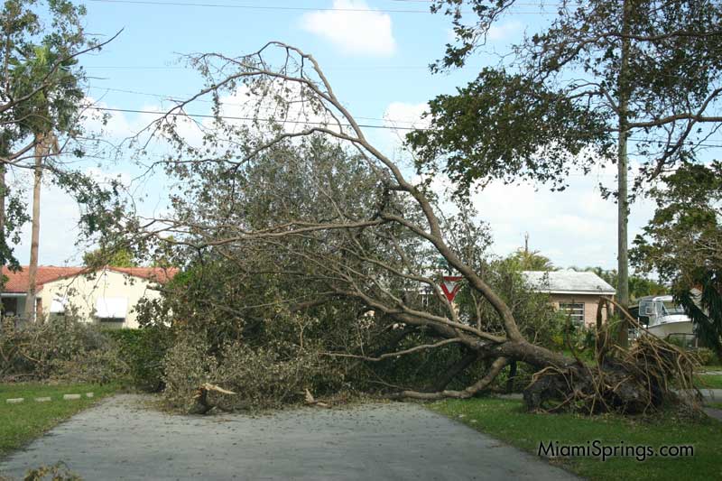 Hurricane Wilma 2005