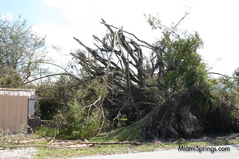 Hurricane Wilma 2005