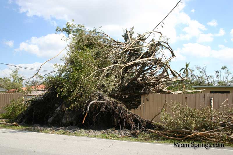 Hurricane Wilma 2005