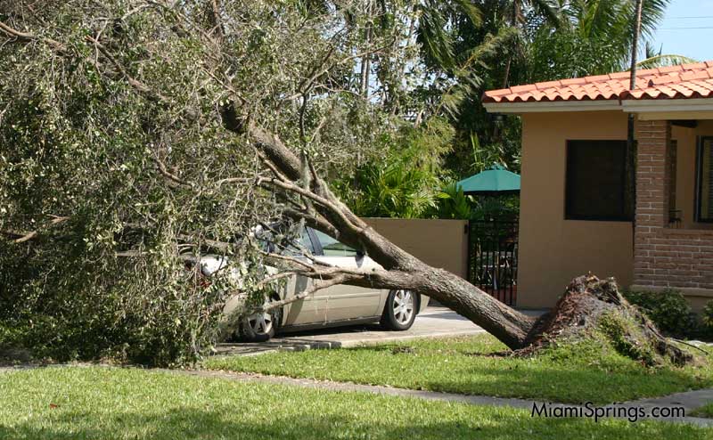 Hurricane Wilma 2005