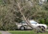 A Look Back at Hurricane Wilma in Miami Springs 2005 Hurricane Wilma 2005