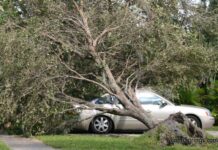 A Look Back at Hurricane Wilma in Miami Springs 2005 Hurricane Wilma 2005