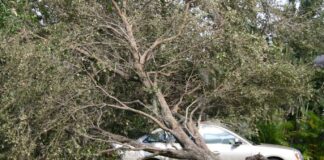 A Look Back at Hurricane Wilma in Miami Springs 2005 Hurricane Wilma 2005