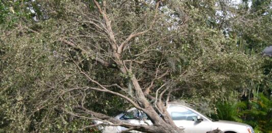 Hurricane Wilma 2005
